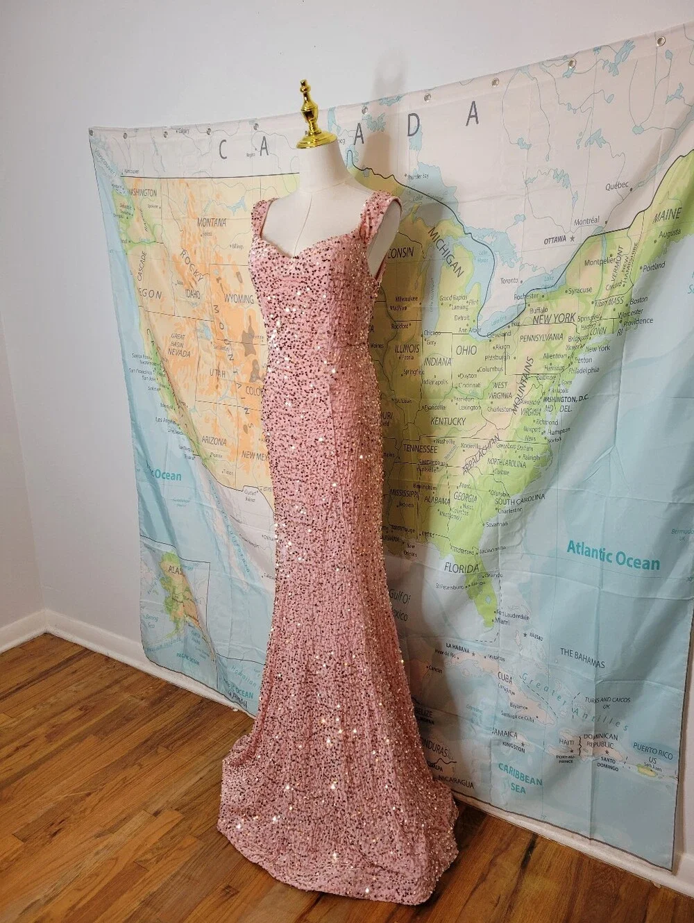 Fashion Nova Elegant Pink Velvet Sequin Evening Gown - Picture 2 of 16